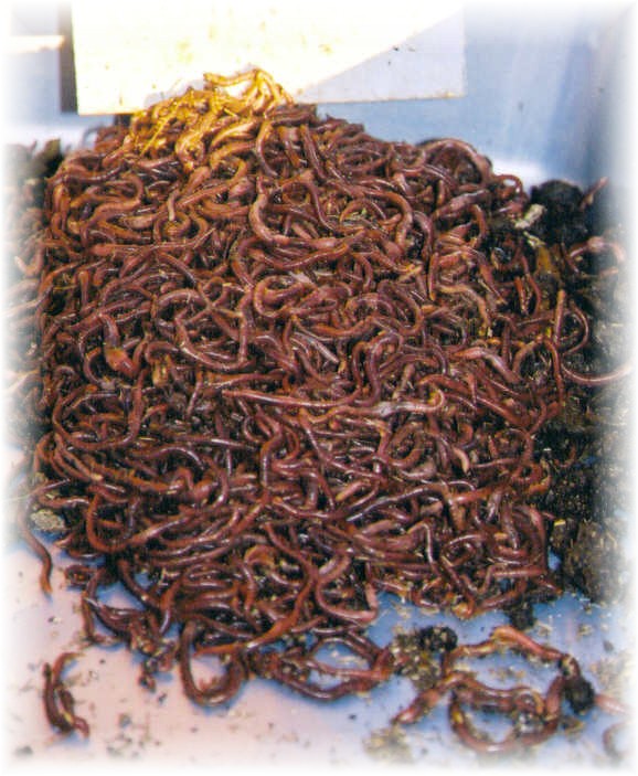 natural fertilizers